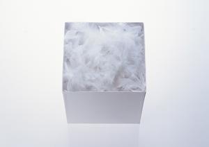 絶品間違いなし！ふぐ鍋を食おう